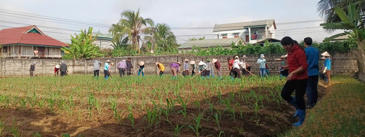 Học viên lớp đào tạo nghề nông nghiệp thực hành trên đồng ruộng tại Sam Mứn